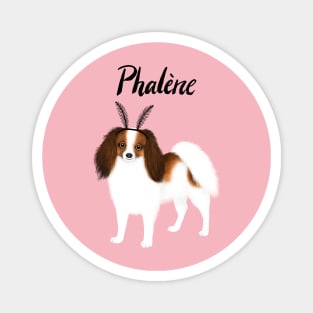 Phalène Magnet